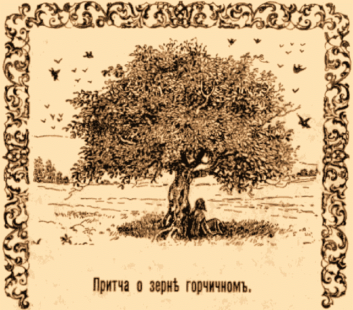 притча о кофе. горчичное зерно. притчи о труде для детей. притча о зерне. притча о горчичном зерне для детей.