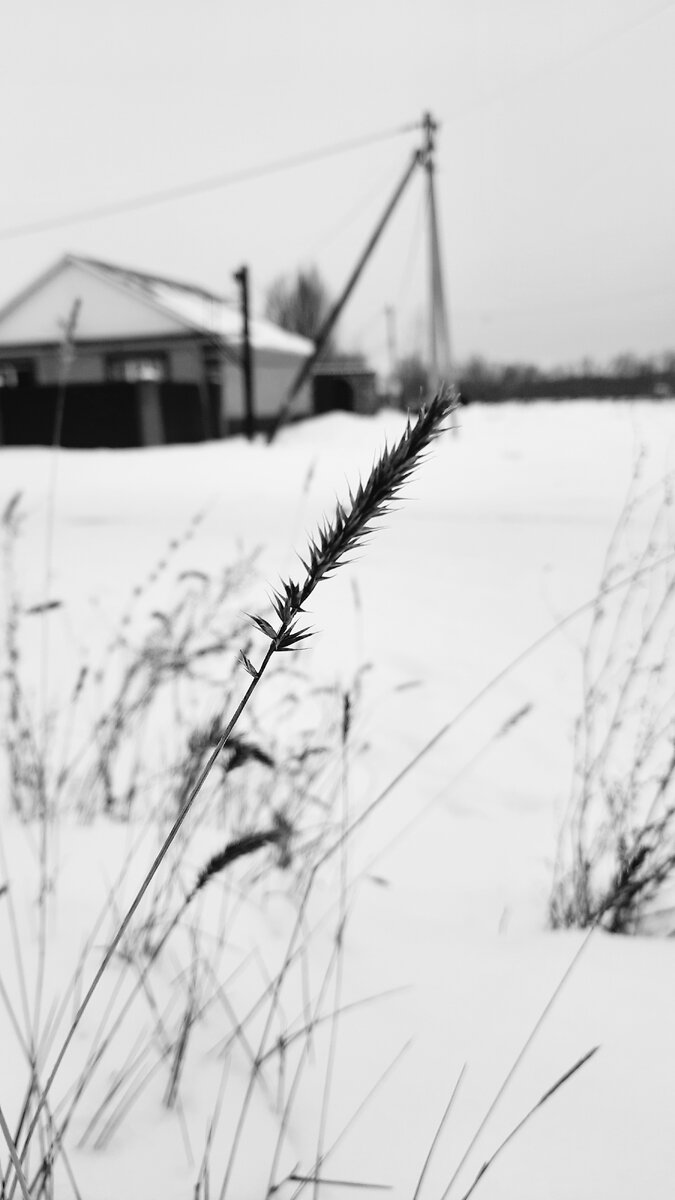 Фото моё, чб люблю 