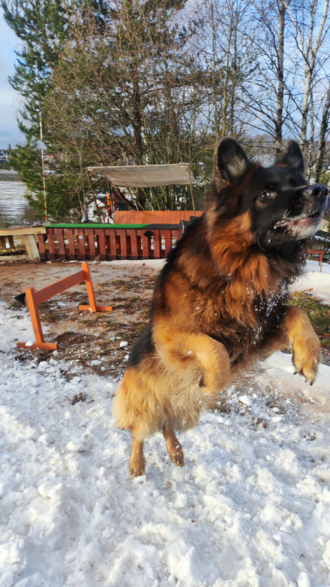 2. Предоставить достаточно стимуляции