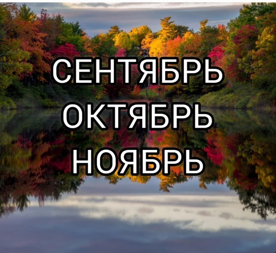 Фото с интернета.