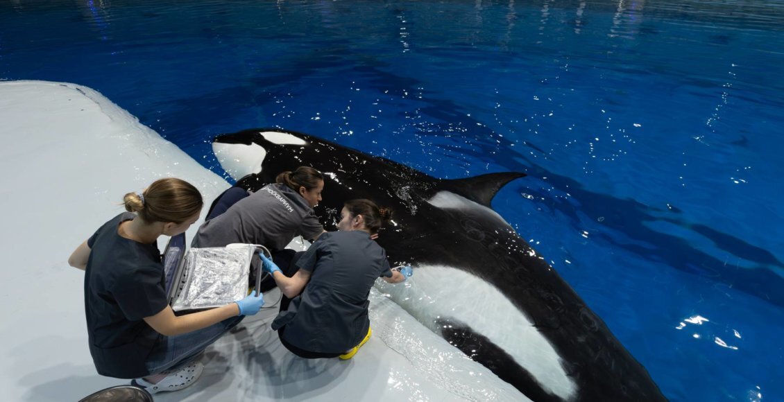    Фото: naya.moskvarium.ru