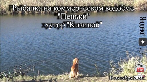 Рыбалка на коммерческом водоёме 