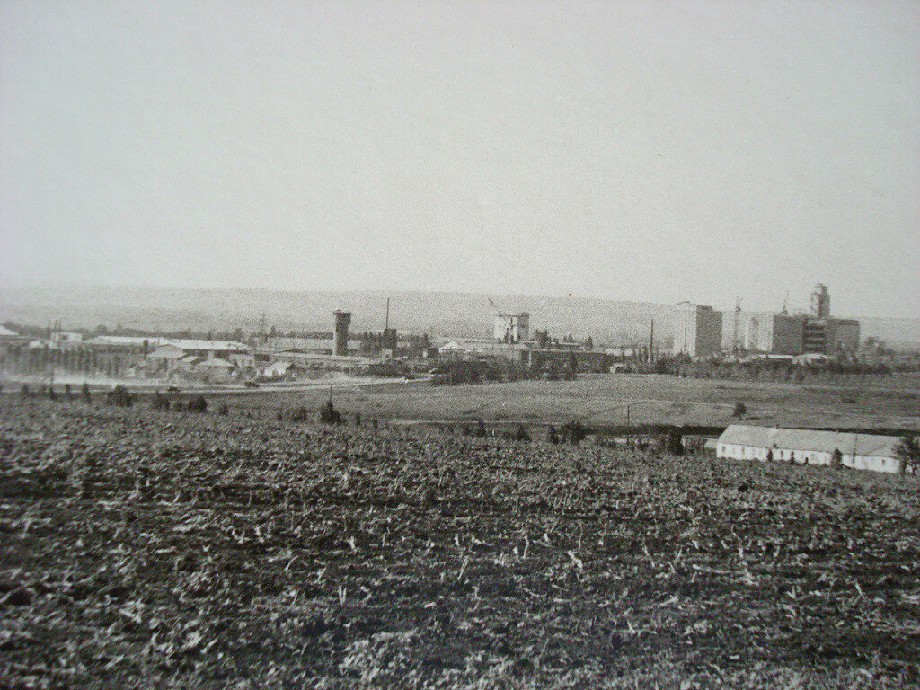 Фото из архива школы №1 посёлка. Вдалеке справа элеватор