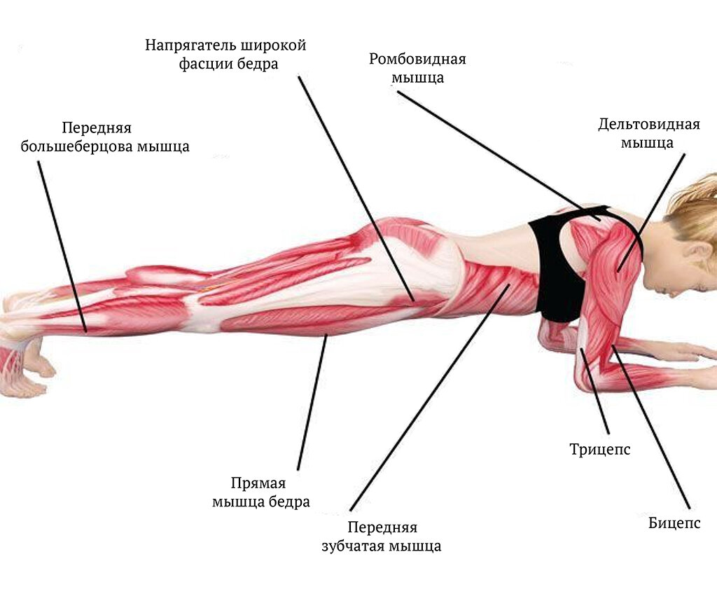 Раза эффективнее. Планка задействованные мышцы. Планка упражнение какие мышцы задействованы. Мышцы задействованные при планке. План упражнений.