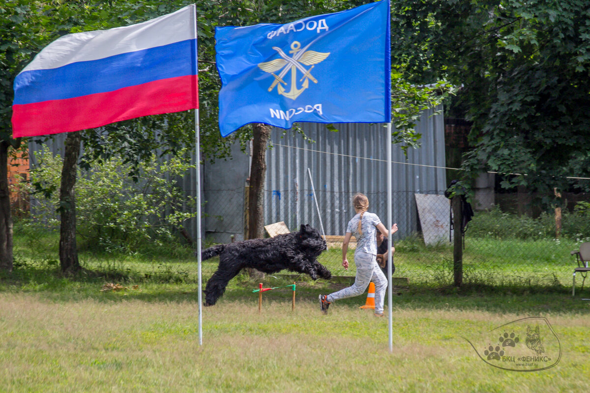 Военизированная полоса препятствий