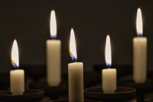    Фото: Pixabay / michaelmep Маргарита Пименова