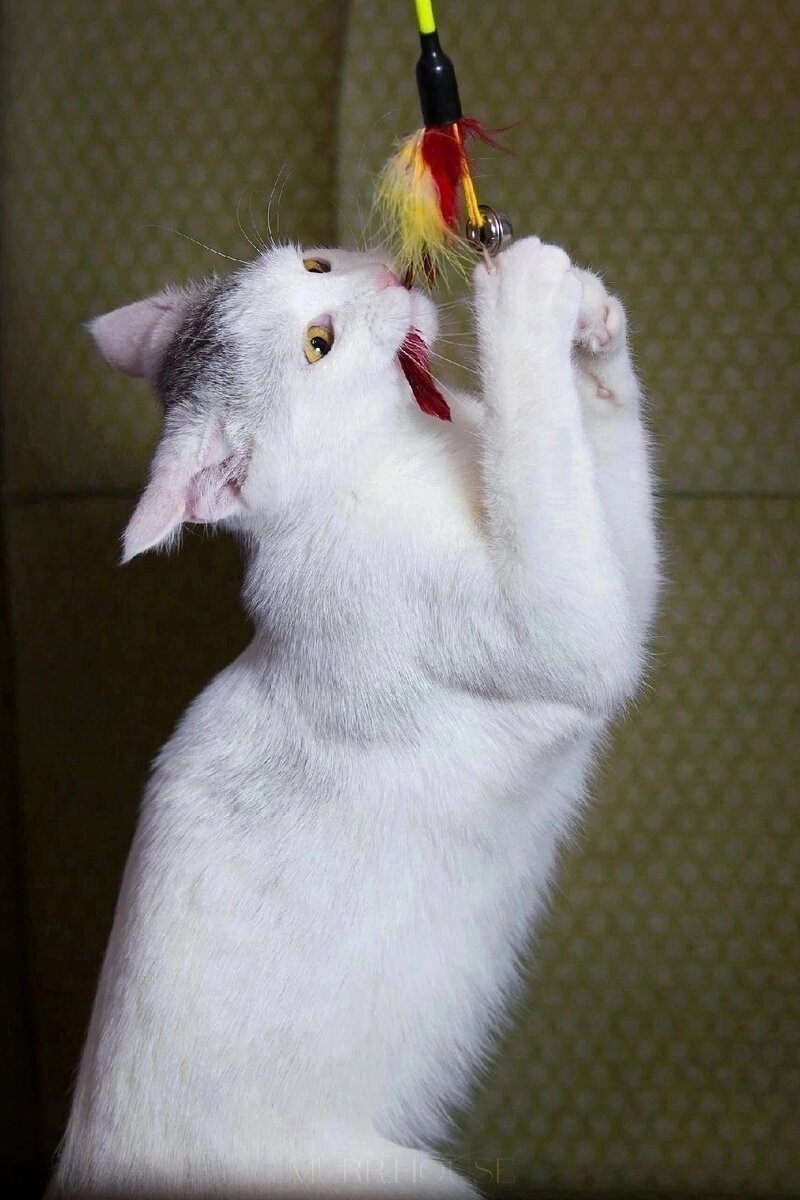 -2