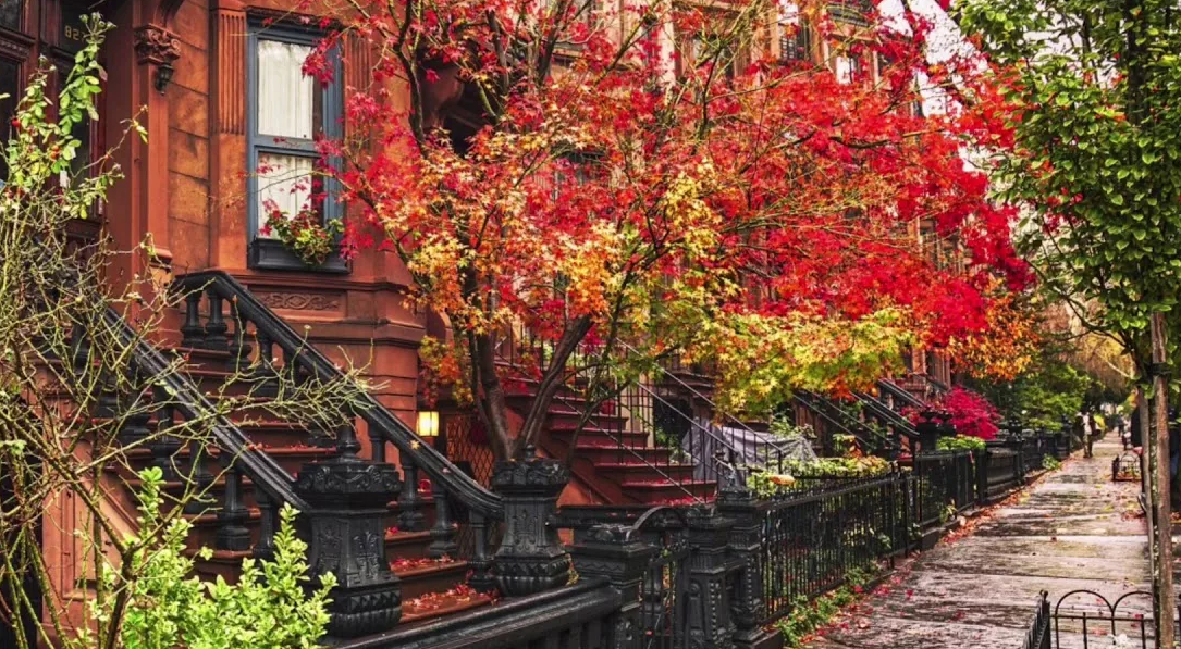 Виды осеннего Нью-Йорка.