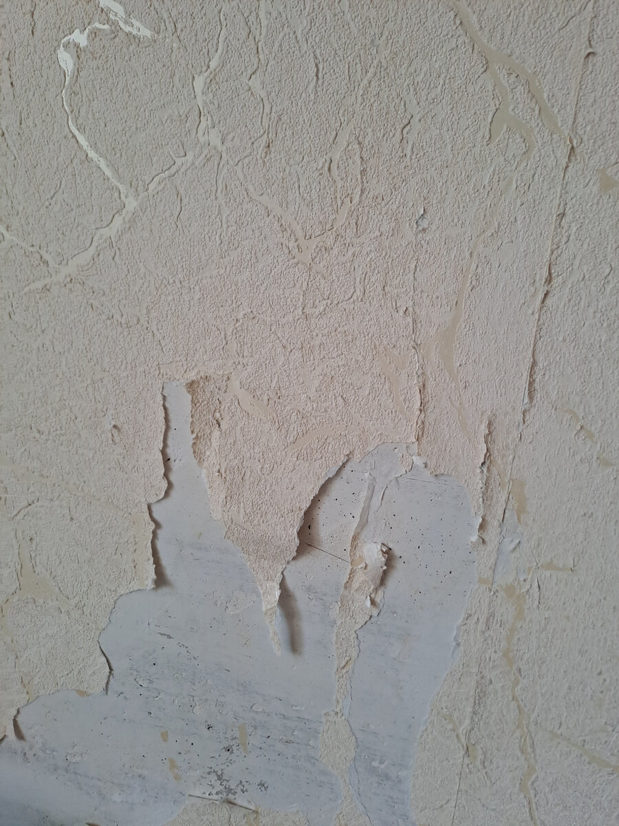 У бабушки тоже пора обновлять. 