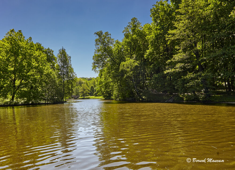 Сашка (часть 677) | MAX67 - Хранитель Истории | Дзен