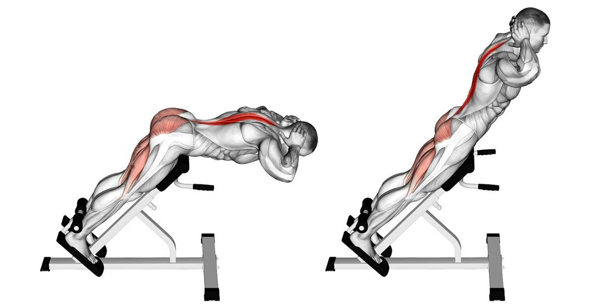 Как укрепить мышцы поясницы в тренажерном зале