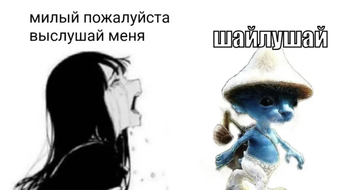Мемы с Шайлушай