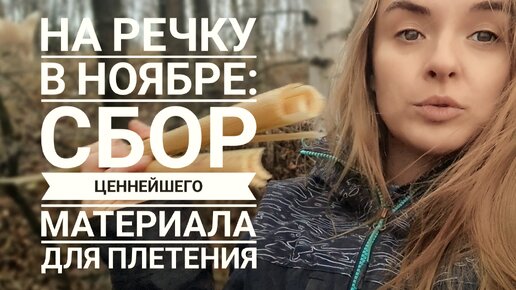 Ноябрь - самое время отправиться на речку за ценным материалом для творчества!