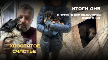 ИТОГИ ДНЯ : В приюте для бездомных животных Хвостатое Счастье 🐶