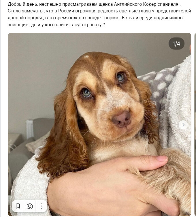 Пост в соцсети