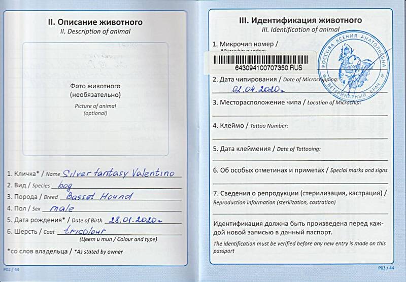 Как должен выглядеть паспорт собаки