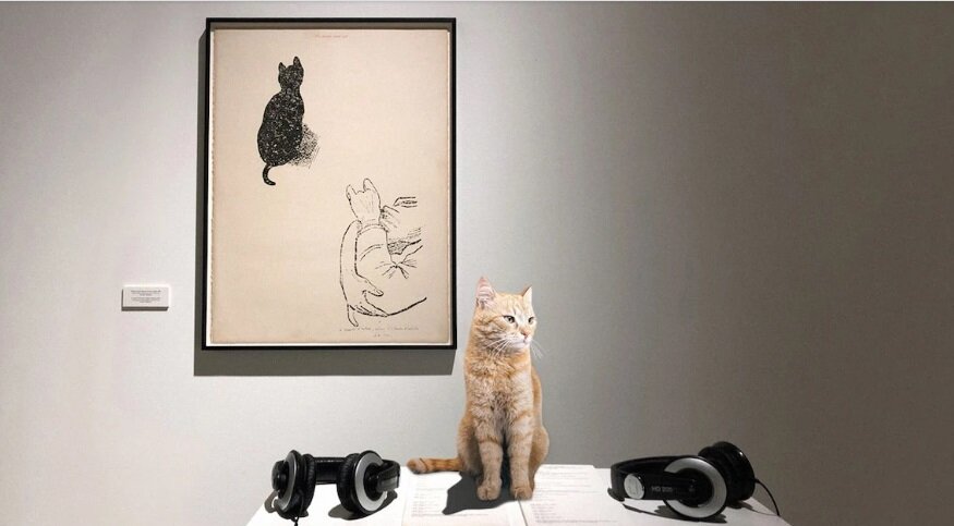 Марсель Бродхерс. Интервью с котом. 1970.