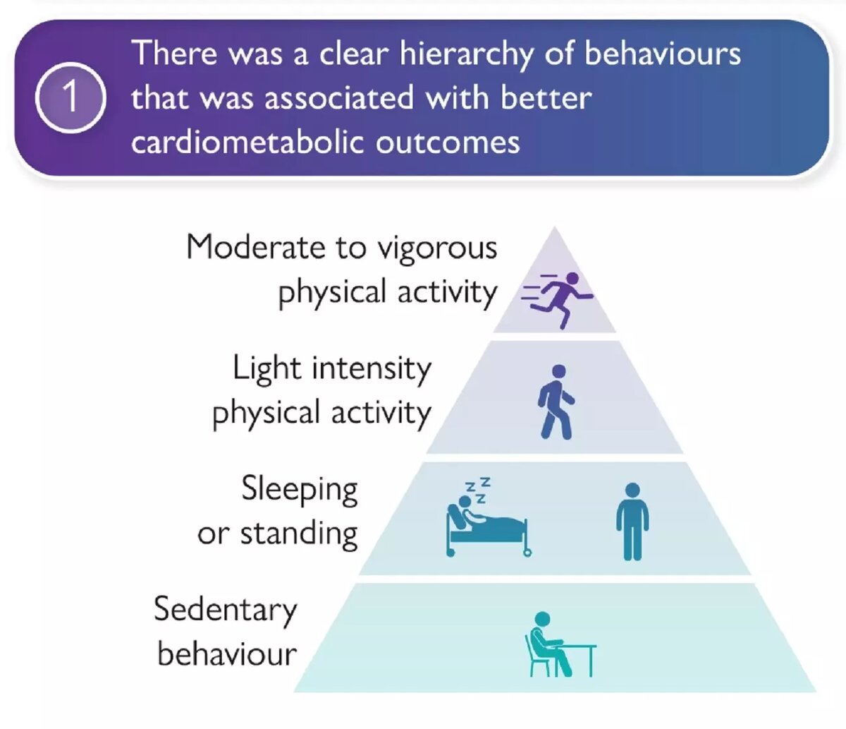 Ранжирование самых вредных видов активности для здоровья сердца. От наименее вредных (сверху) до наиболее вредных (снизу). Фото: European Heart Journal