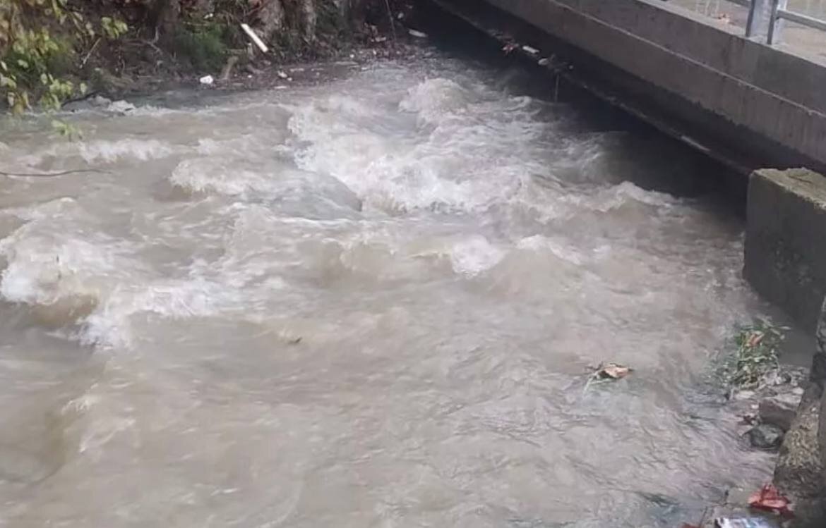 ФОТО: T.ME/MCUSOCHI