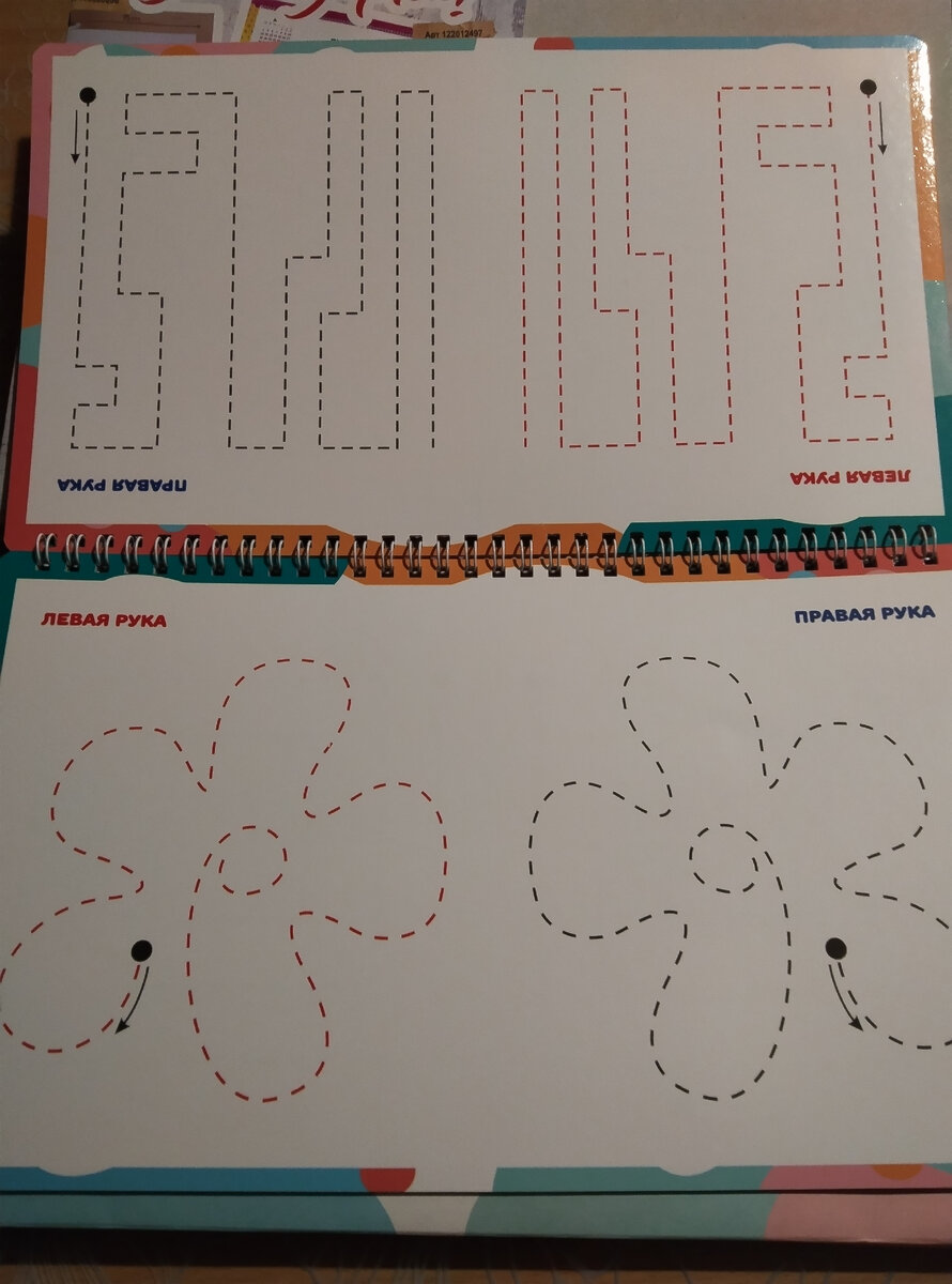 Фото автора. Альбом для развития.