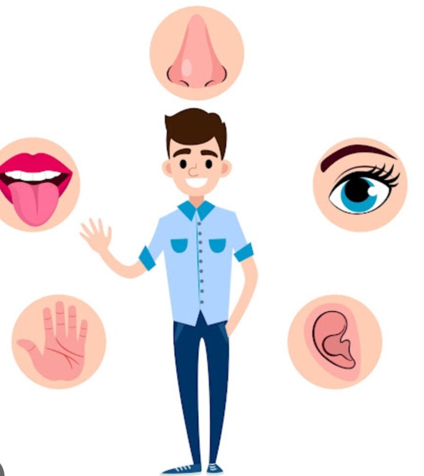 картинка из интернета