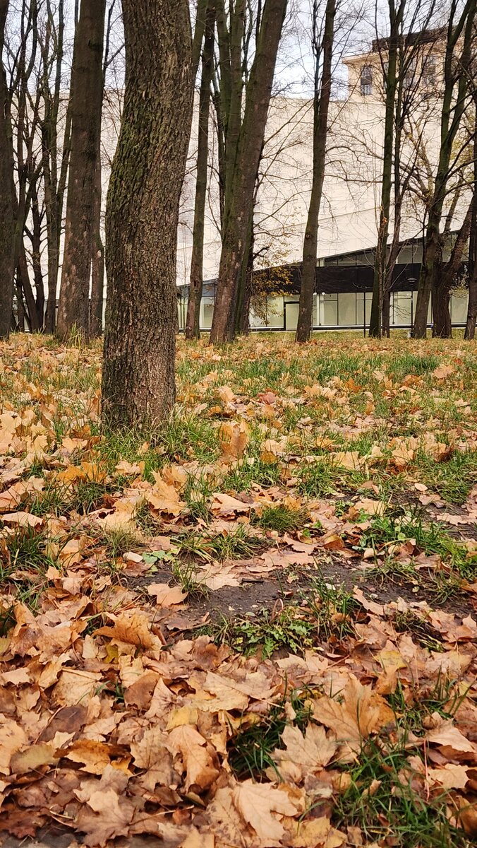 Московская осень возле метро Динамо 