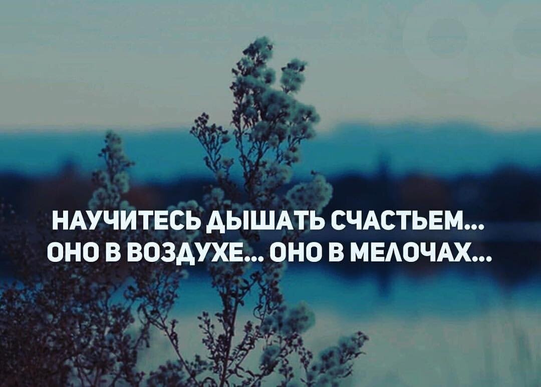 Как мне удаётся всё время быть на позитиве | Дневник мамзели и двух котов |  Дзен