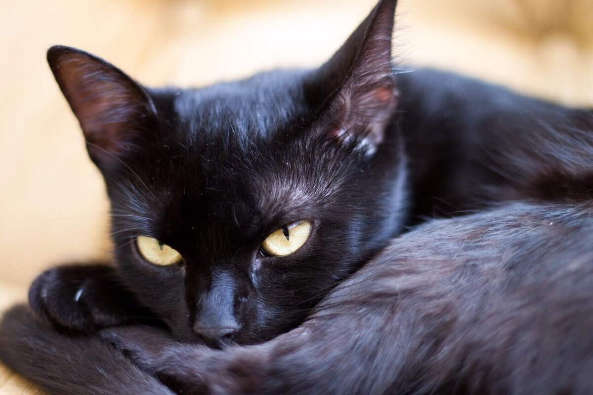     123RF/legion-media.ru