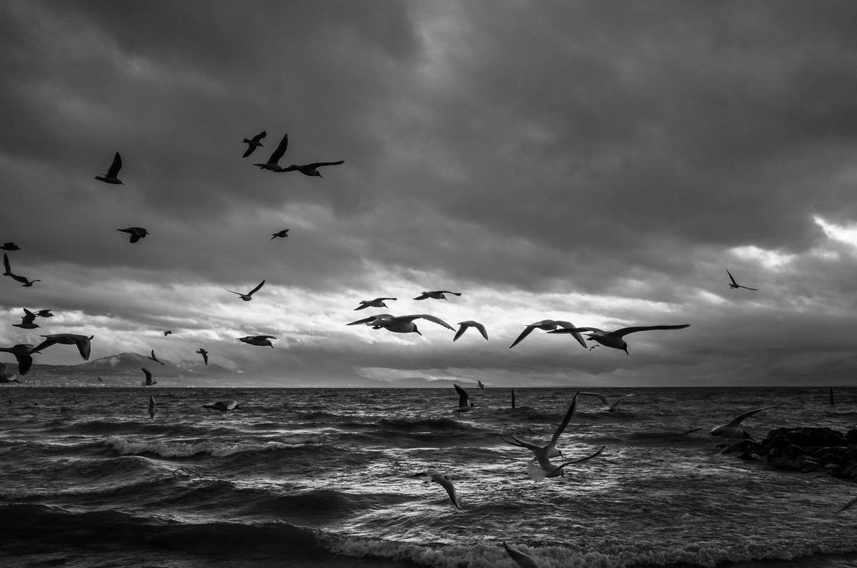 Изображение взято из открытых источников