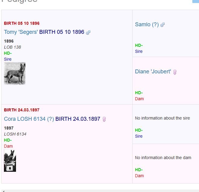 родословная TJOP