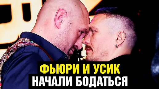 Усик - мелкая дырка! Фьюри и Усика разняли на битве взглядов