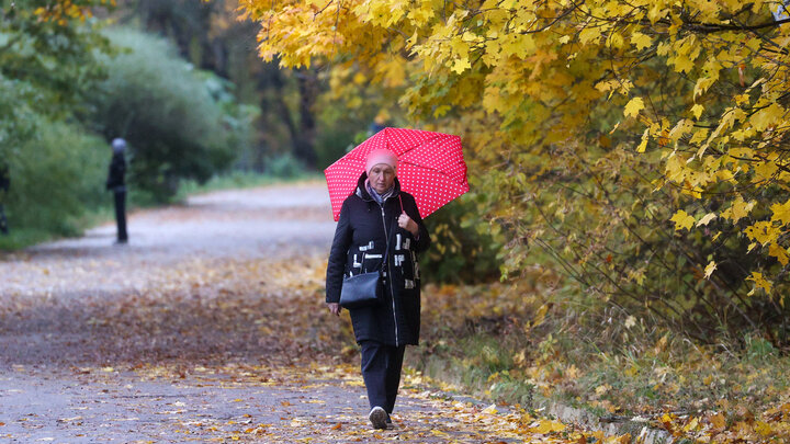 ФОТО: BULKIN SERGEY NEWS.RU/GLOBALLOOKPRESS