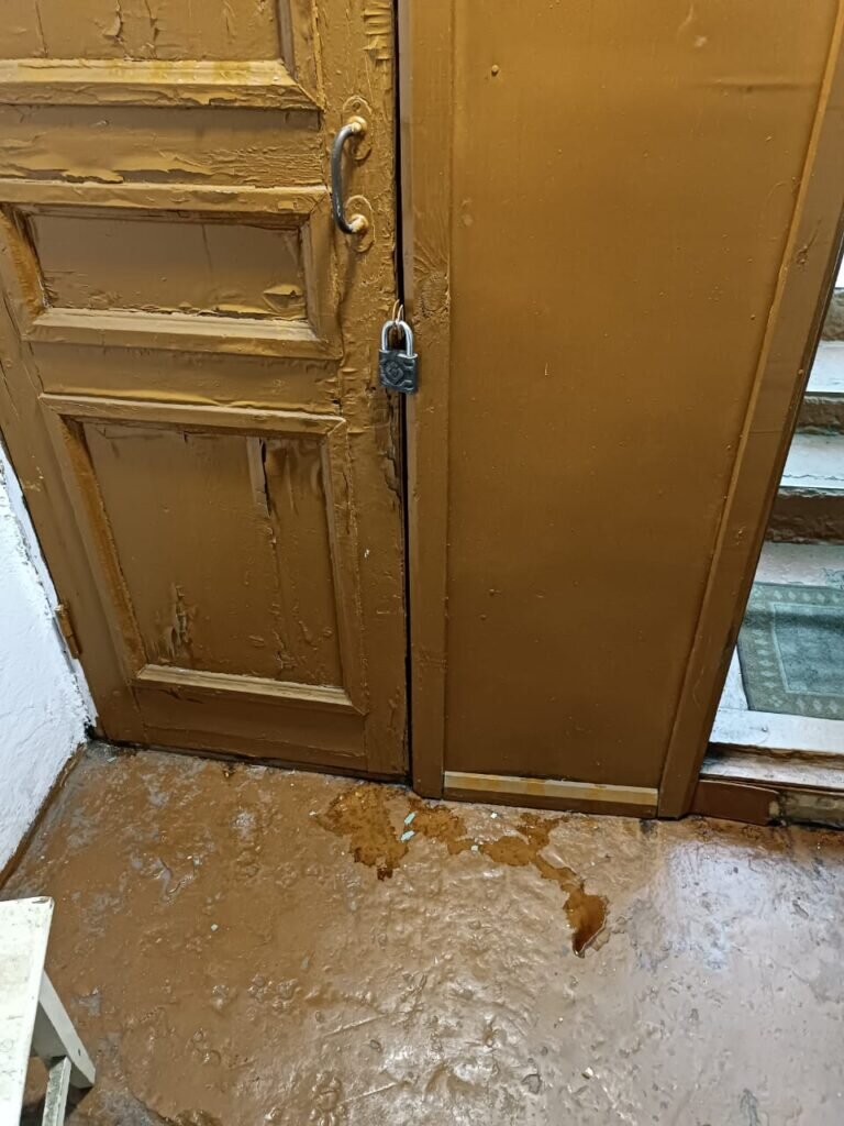    Фото: Татьяна Гаськова