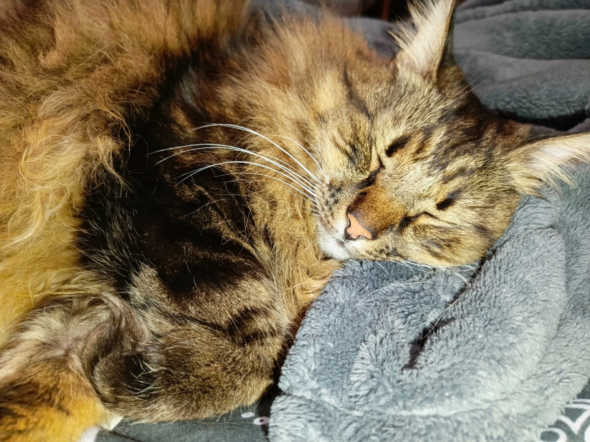 Вот так сладко отдыхаю