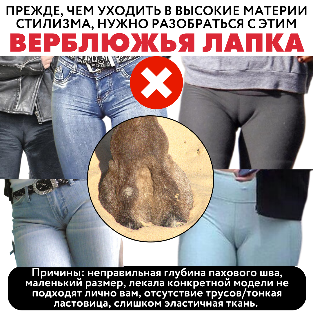 верблюжя лапка ❌ 6 ПРИЧИН, ПОЧЕМУ ВАШИ ОБРАЗЫ ВЫГЛЯДЯТ ГАРАНТИРОВАННО ПЛОХО, хотя вы  стараетесь, повторяете за модными блогерами и стилистами 👉🏻 | УЧИМ МОДЕ |  Дзен