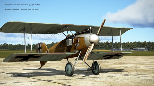 Albatros D.ll Истребитель (Германия). Рассматриваем истребитель (экстерьер). Часть-1. Симулятор «Flying Circus – Volume lll