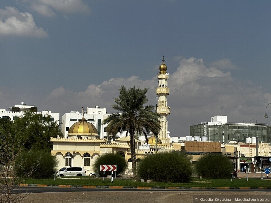 © Klaudia Ziryukina