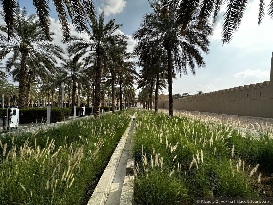 © Klaudia Ziryukina