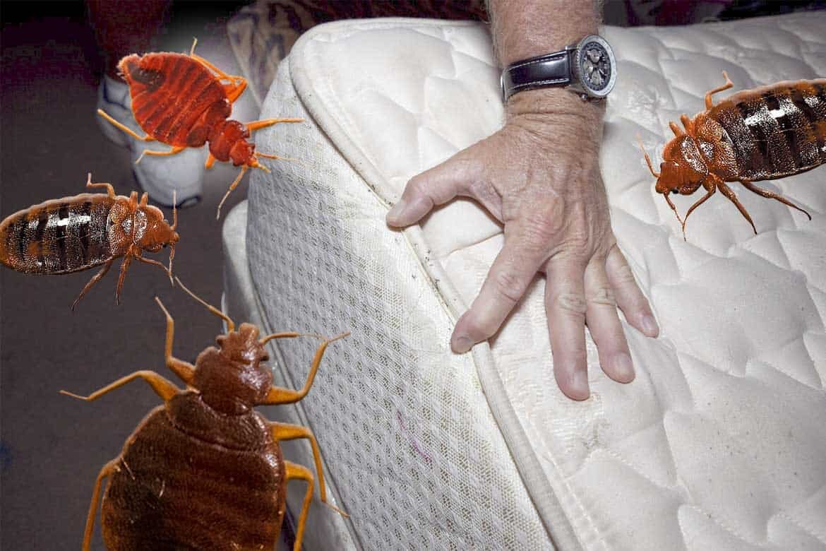 И картинку по страшнее, как мы любим.