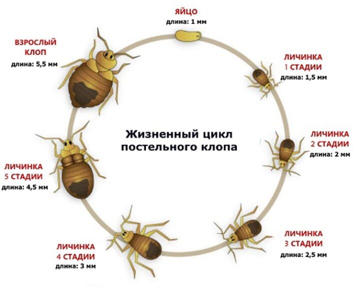 Ваше мнение