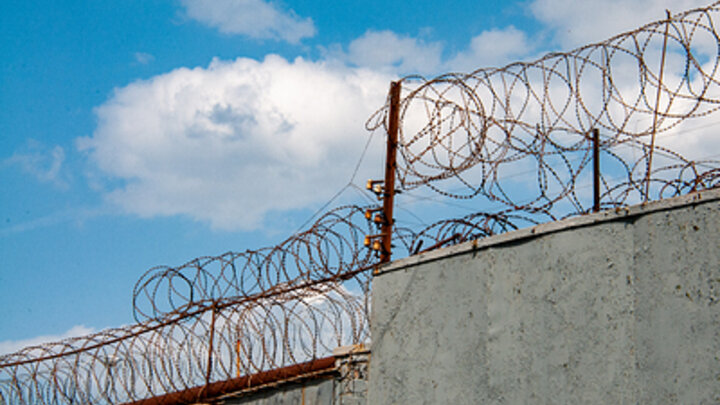 ФОТО: SVETLANA VOZMILOVA/GLOBALLOOKPRESS