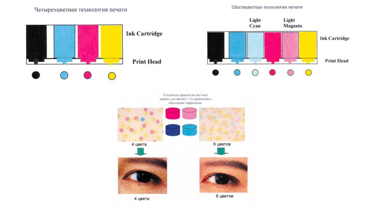 Какой принтер для сублимации выбрать: 4-цветный или 6-цветный? В чем  разница? | Доходные Материалы | Дзен