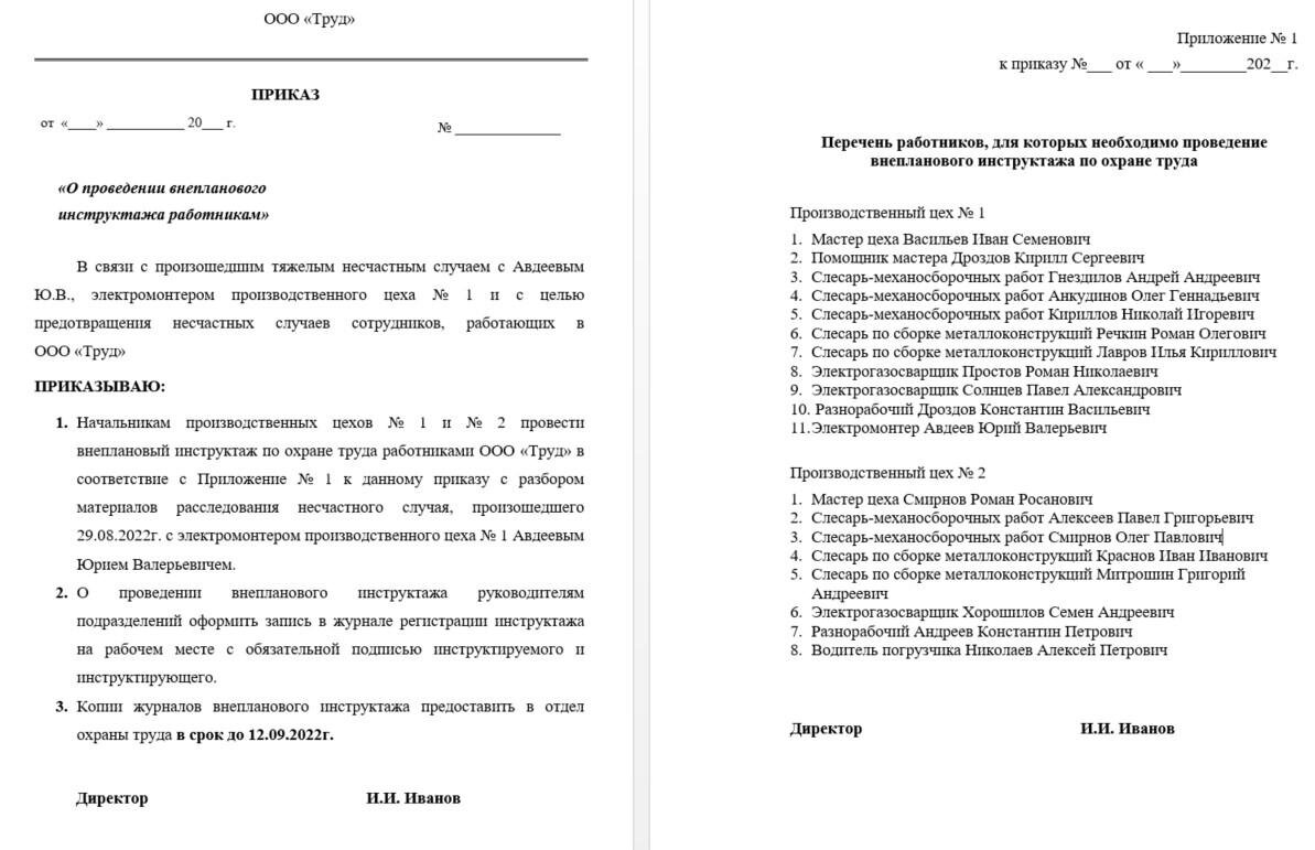 Приказ о проведении внепланового инструктажа по охране труда