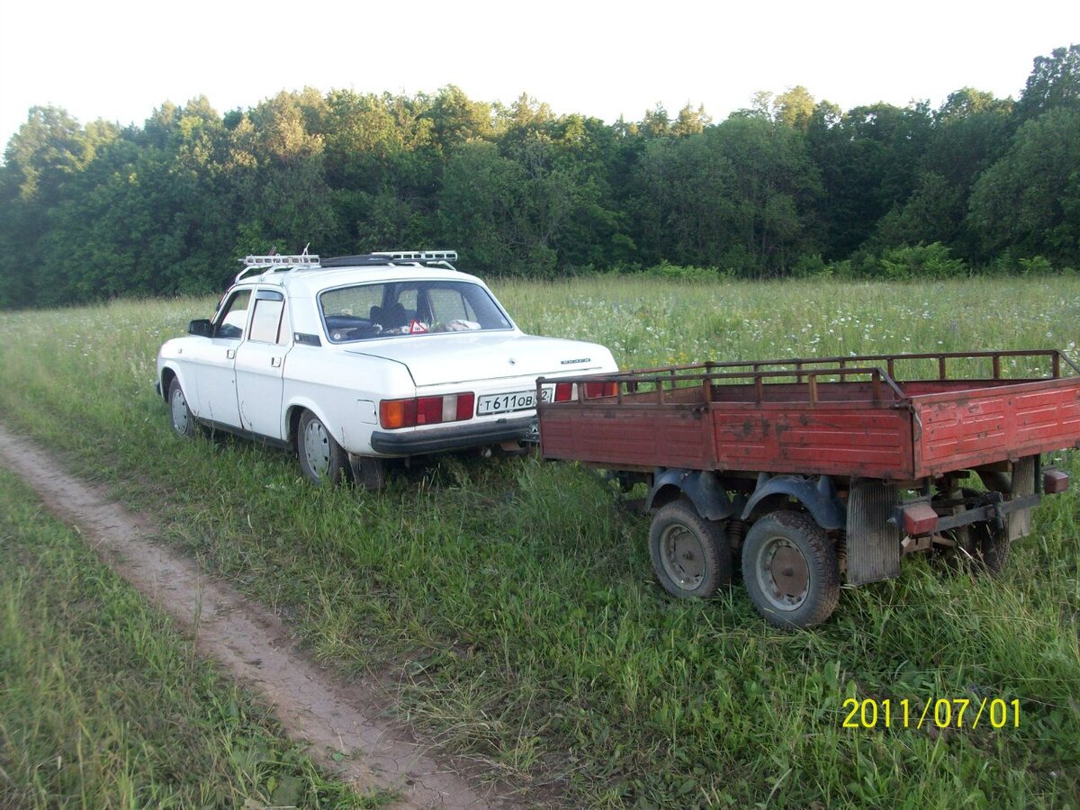 На "Волге" в лес за вениками. Фото автора.