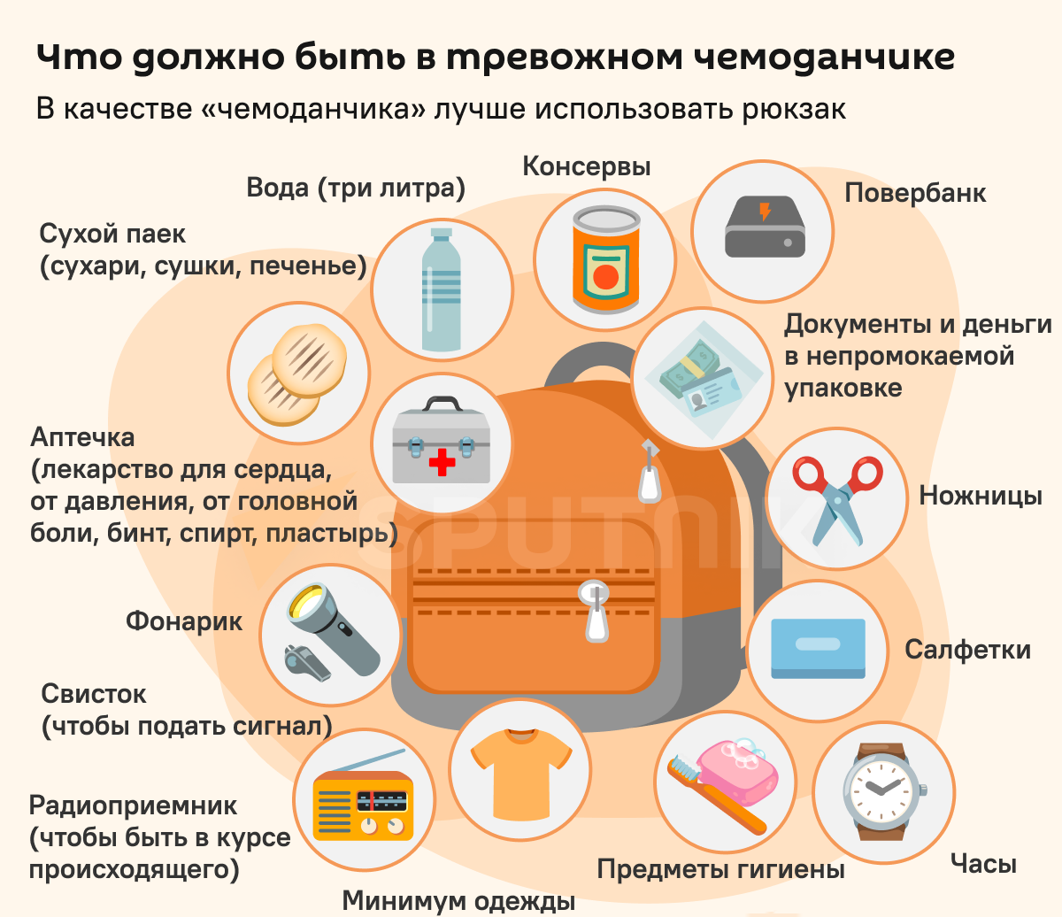 Тревожный чемоданчик оказался совсем не чемоданчиком и как пережить  внезапную эвакуацию | Логово Мрачной Лисы | Дзен