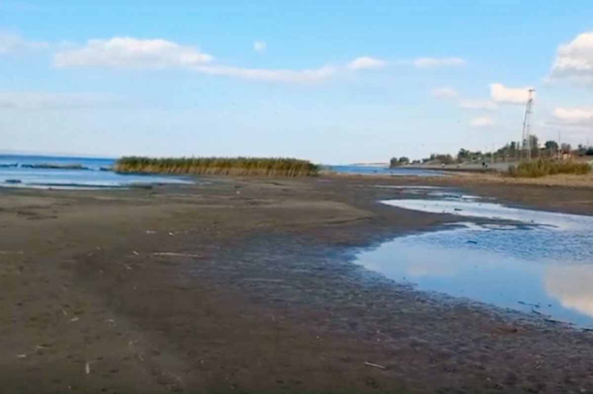    В этом году отмечается рекордное снижение уровня воды в водоёмах области за последние 20 с лишним лет.