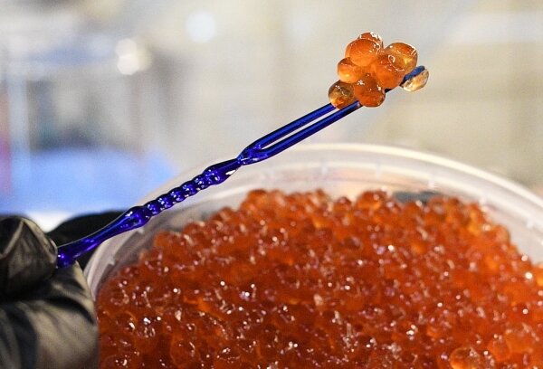 Фото: РИА Новости/Алексей Майшев