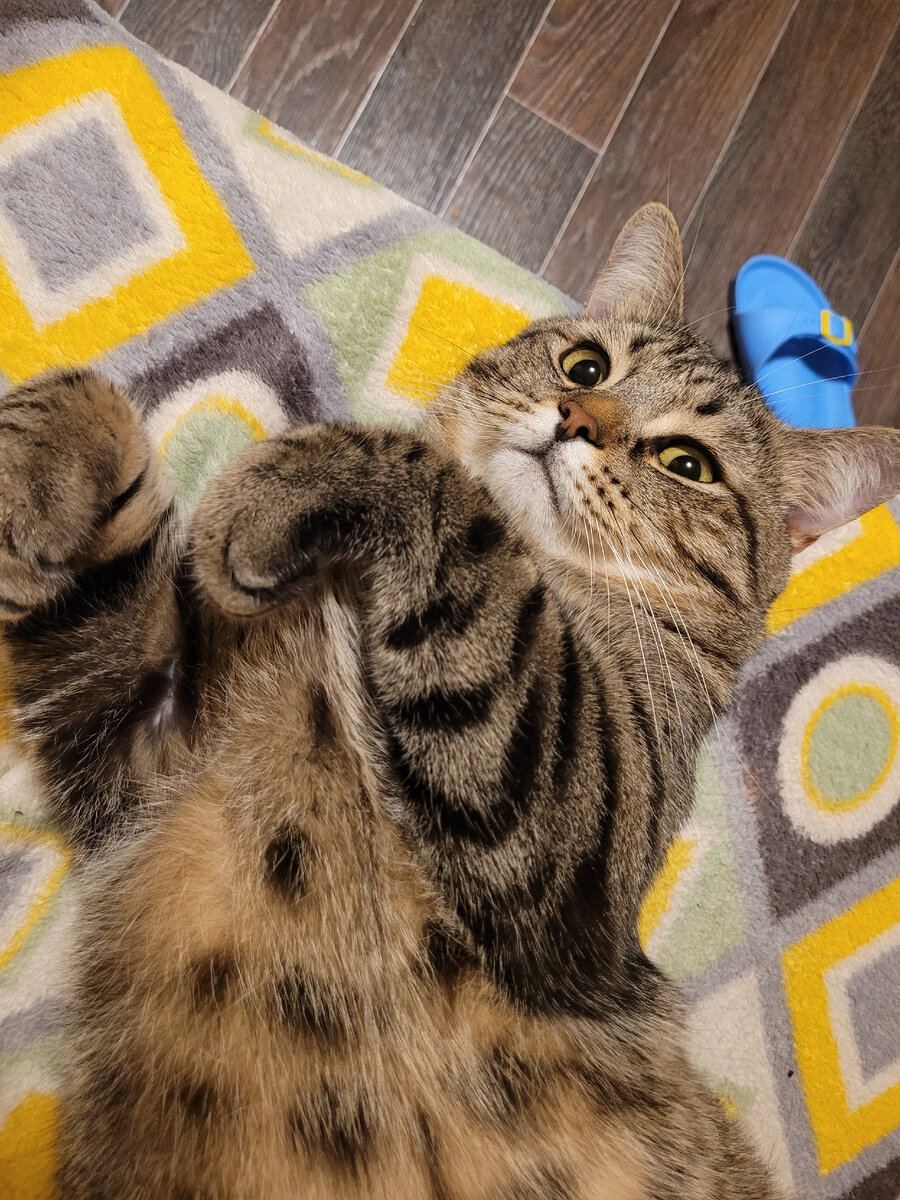 Не хочу выставлять в статью фотографии связанные с конфликтом. Зачем-то продолжаю относится уважительно к этим людям. Так что любуемся Аркадием)