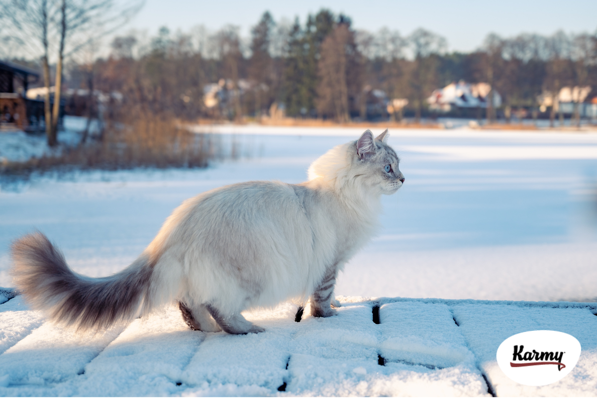 Авторское изображение с использованием картинки с фотостока "Unsplash" 