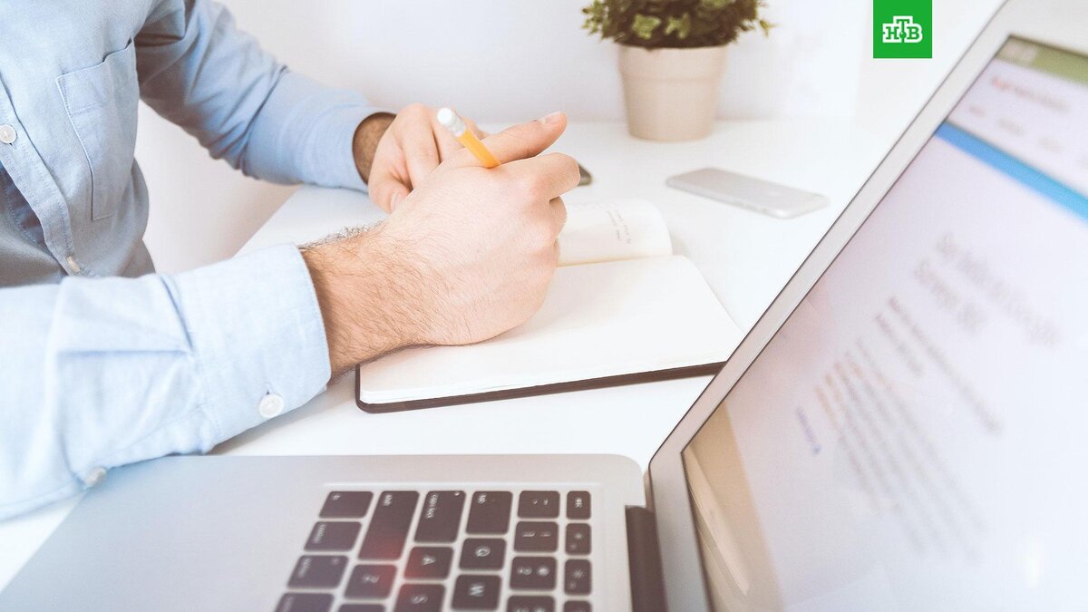    Фото: jeshoots / unsplash.com